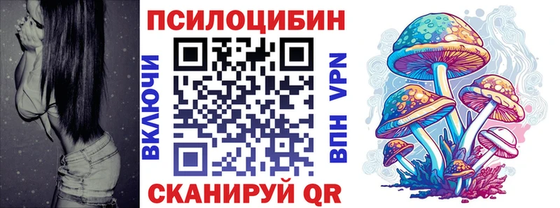Псилоцибиновые грибы мицелий Купить закладки Клинцы