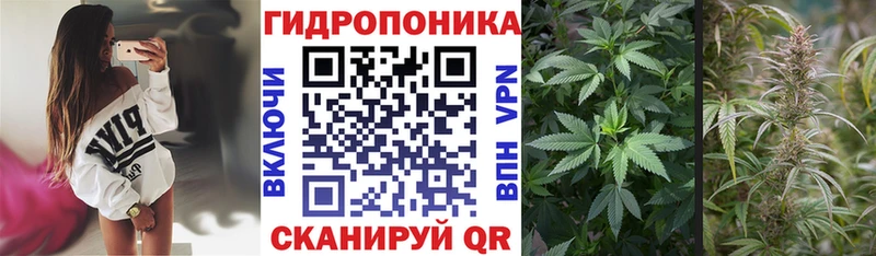 Купить закладки  Клинцы  Канабис SATIVA & INDICA 